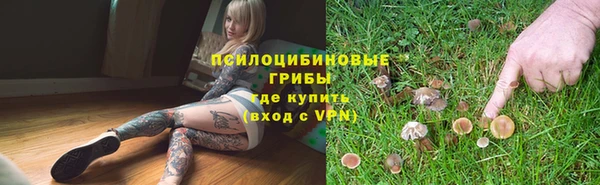 круглые Алексин