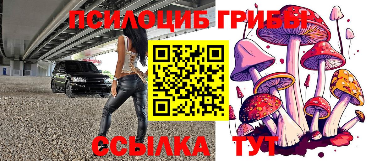 Галлюциногенные грибы Cubensis  Псилоцибиновые грибы мицелий  Вход с VPN  Старая Купавна 