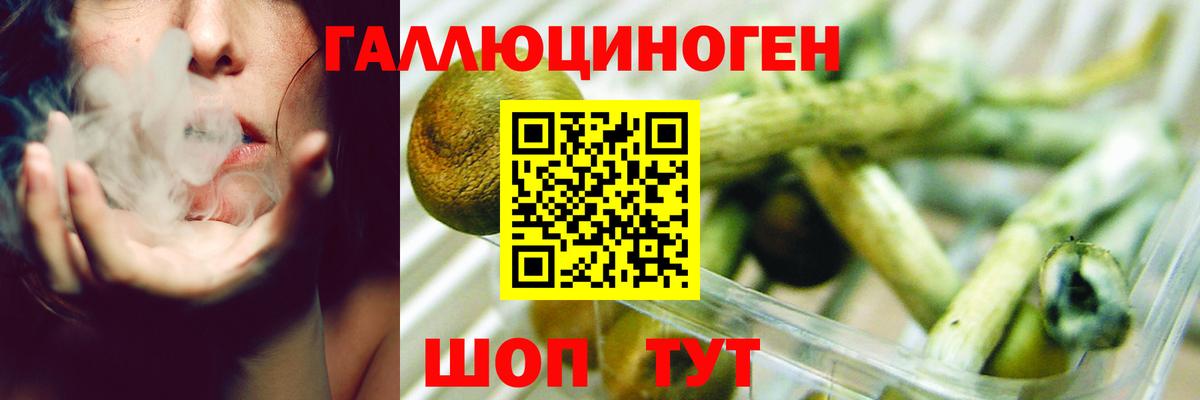 Галлюциногенные грибы прущие грибы Старая Купавна